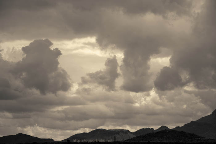 Tucson I Toned fine art sepia landscape photo