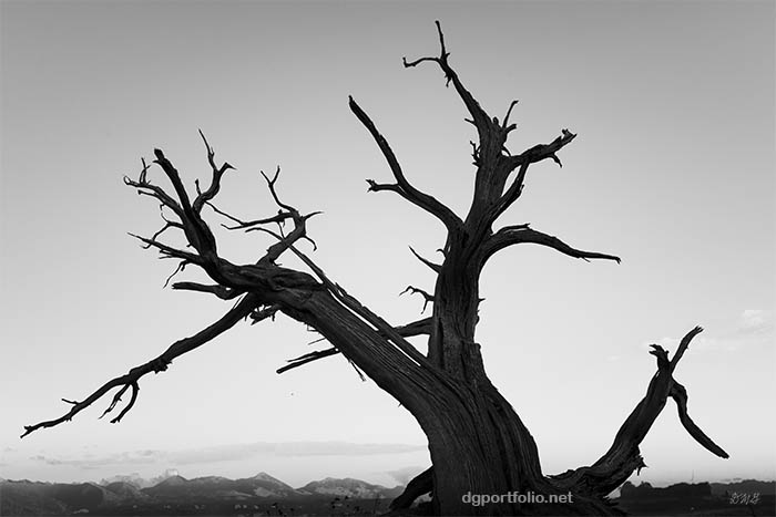 Fine Art black and white landscape photograph by Dave Gordon