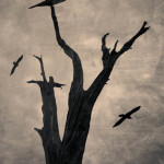 Raven Tree fine art photomontage