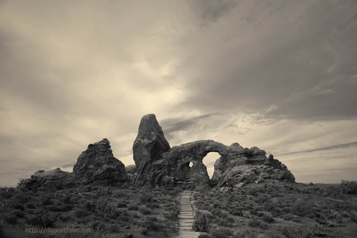 Arches NP X Toned - fine art image