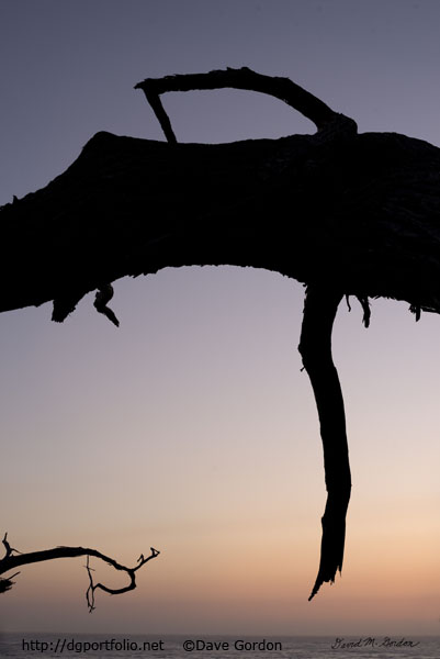 Sunset Pescadero Point