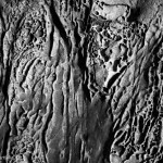 Sandstone Erosion I BW fine art abstract photo