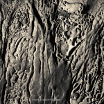 Sandstone Erosion I Toned fine art sepia abstract photograph