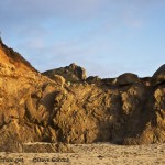 Garrapata Beach II