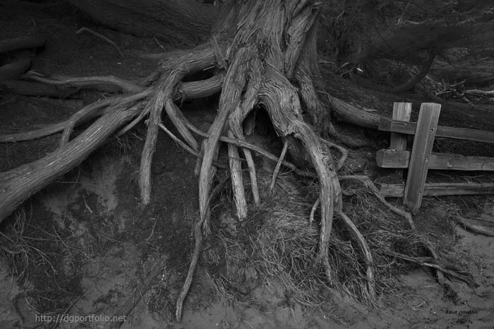 Pfeiffer Beach IV BW fine art black and white photo