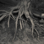 Pfeiffer Beach IV Toned fine art landscape photograph