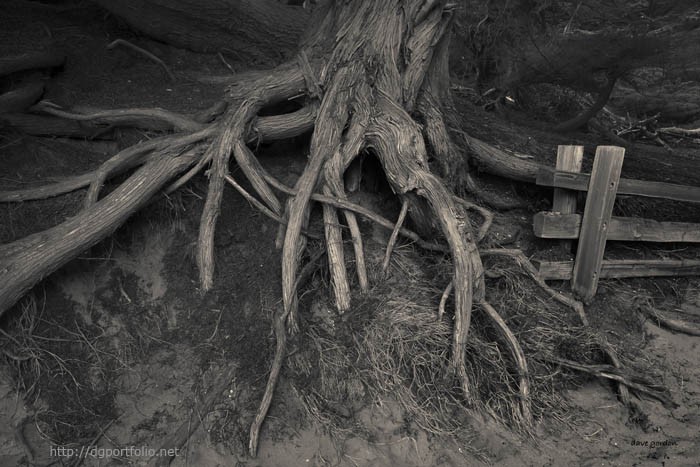 Pfeiffer Beach IV Toned fine art landscape photograph