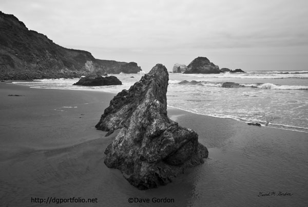 Sand Dollar Beach I BW