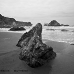 Sand Dollar Beach BW