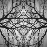 Abstract black and white photomontage by Dave Gordon