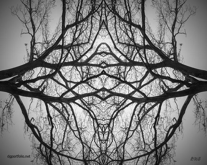 Abstract black and white photomontage by Dave Gordon