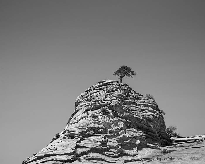 Fine Art black and wite landscape photograph by Dave Gordon