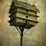 Birdhouse I image