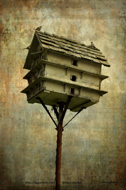Birdhouse I image