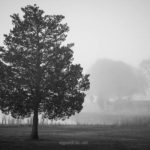 Fine Art black and white landscape photograph by Dave Gordon