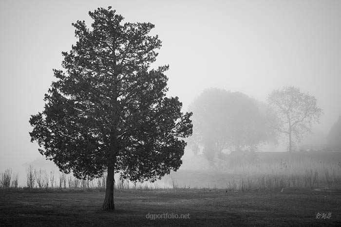 Fine Art black and white landscape photograph by Dave Gordon