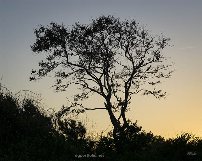 Fine Art color landscape photograph by Dave Gordon