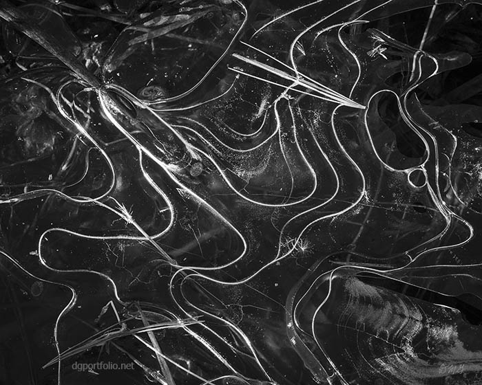 Fine Art black and white abstract photograph by Dave Gordon