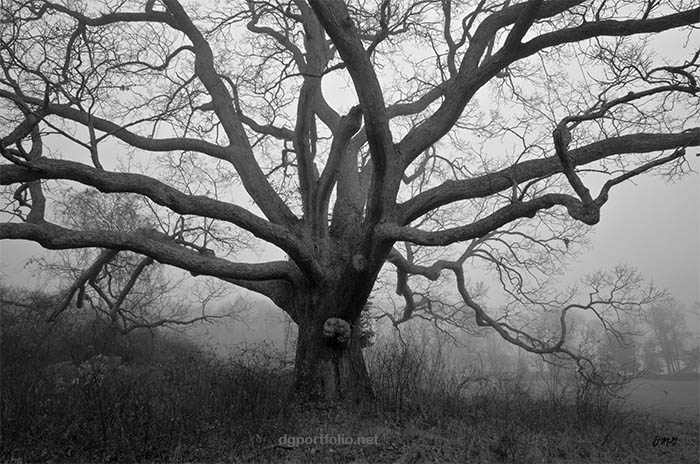 Fine art black and white landscape photograph