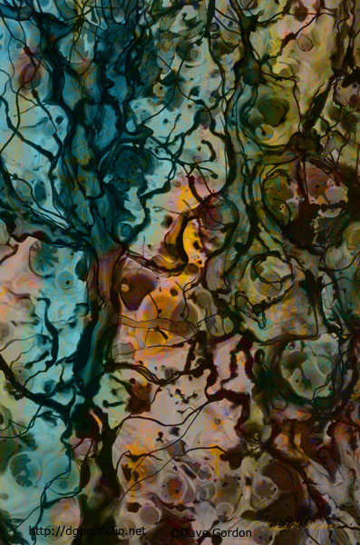 http://www.dgportfolio.net/color-abstraction-xvi/