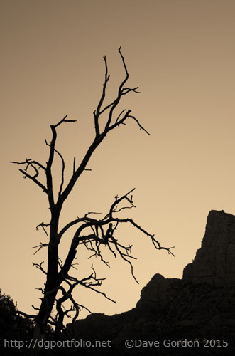 Sedona Landscape XVI Toned image