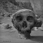 Valley of the Skulls I fine art black and white photograph