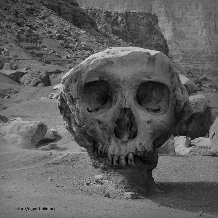 Valley of the Skulls I fine art black and white photograph
