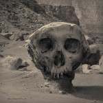 Valley of the Skulls I Toned fine art photomontage
