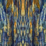 Abstract Symmetry I