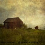 Barn and Meadow