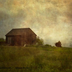 Barn and Meadow image