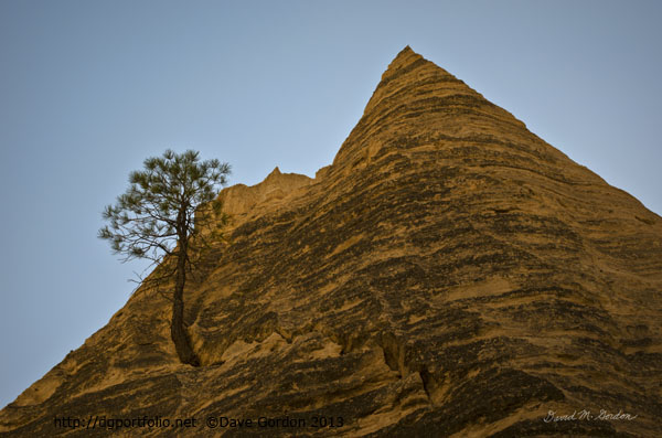 Tree and Sandstone Peak
