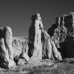 Arizona Landscape III BW