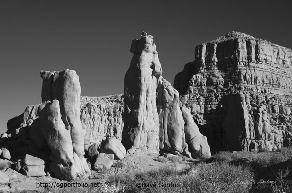 Arizona Landscape III BW