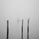 Three Pilings and Sailboat image