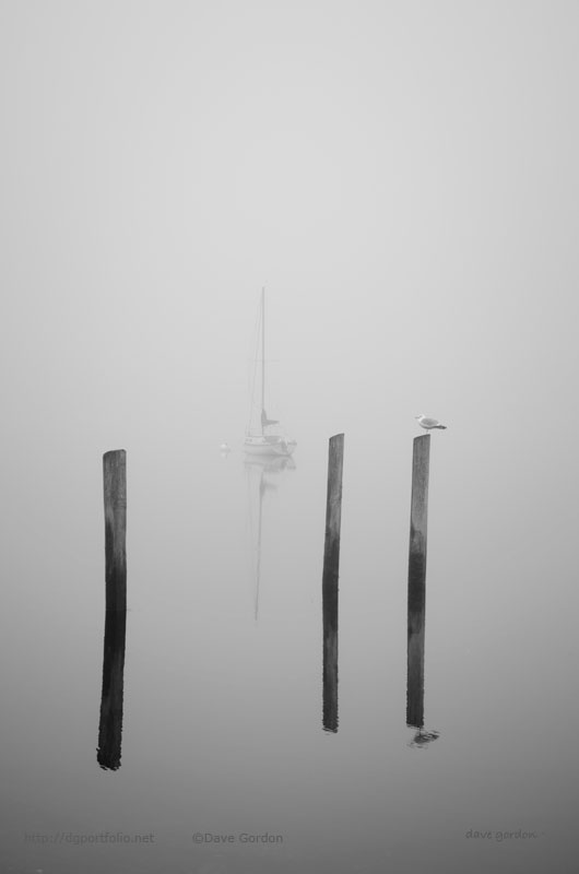 Three Pilings and Sailboat image